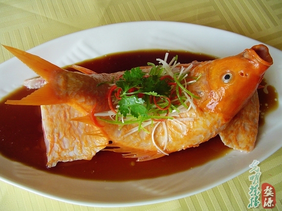 荷包红鲤鱼.jpg