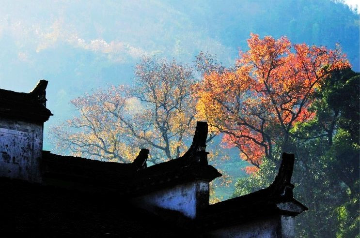徽居秋韵.jpg