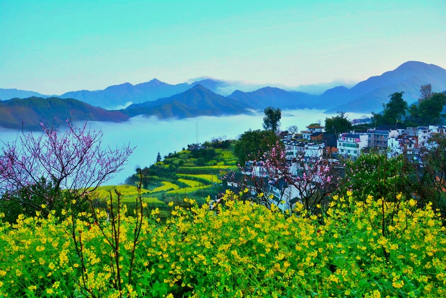 查平坦.jpg
